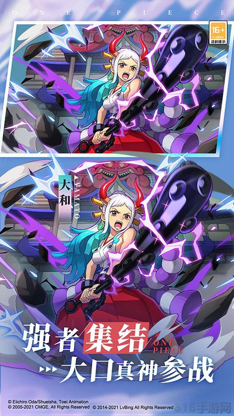 航海王强者之路满v版截图0