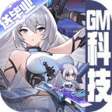 暴走无双团变态版