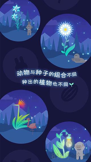 夜之森破解版无限金币截图3