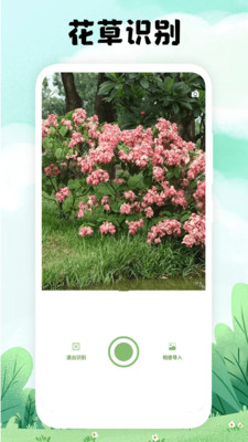 万物识图截图1