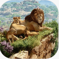 动物园之星中文版手机版