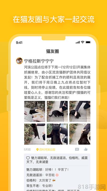 哈啰街猫app截图1