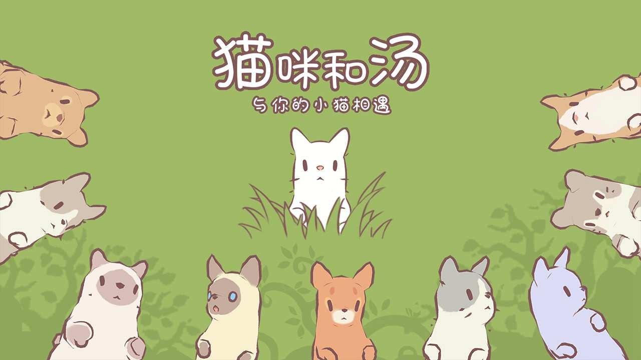 猫咪和汤2025最新版截图1